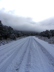 snow_road.jpg (40195 bytes)